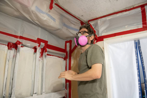 Best Crawl Space Mold Remediation  in Casey, IL